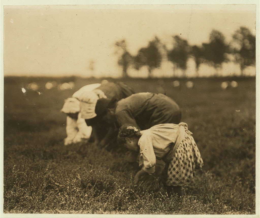 Люис Уикс Хайн - Детски труд | Lewis Wickes Hine - Child Labor