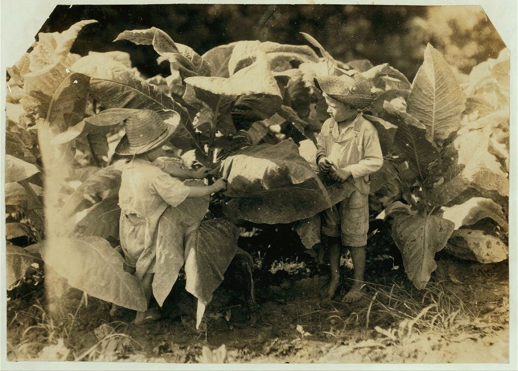 Люис Уикс Хайн - Детски труд | Lewis Wickes Hine - Child Labor