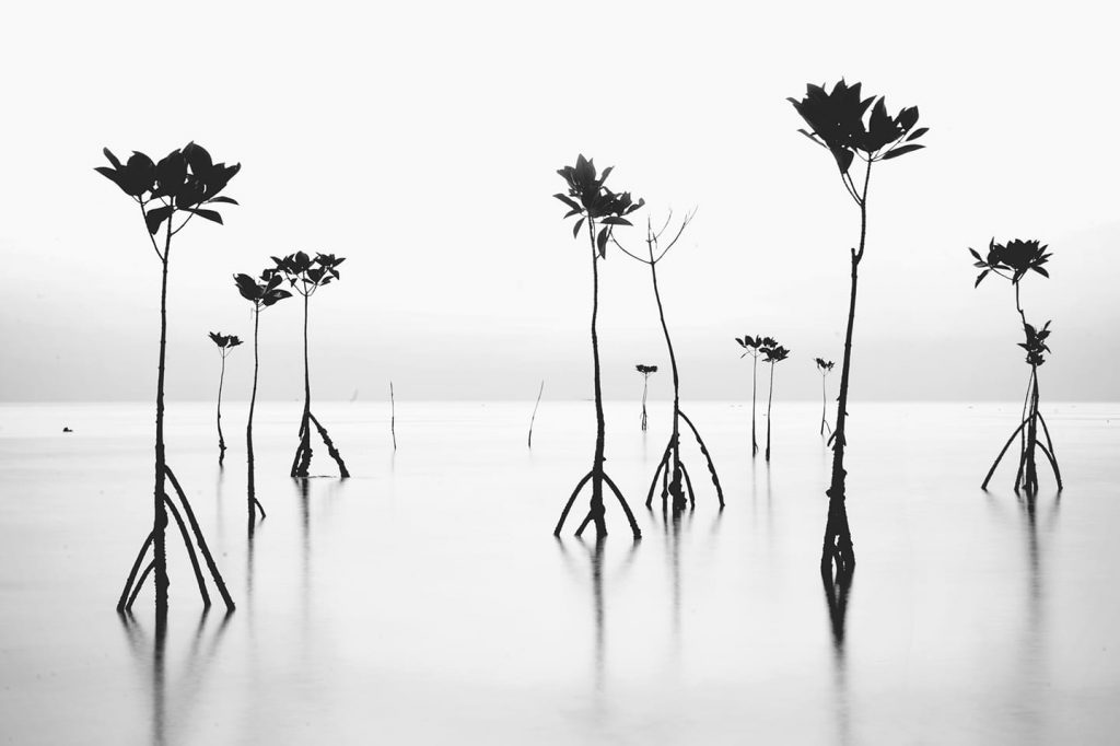 Photographer: Momo Ji