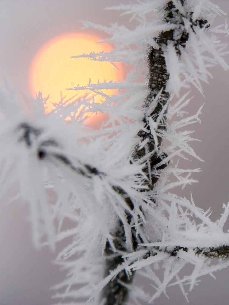 Фотограф: Rositsa Safir