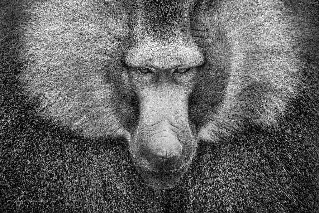 Фотограф: Wolf Ademeit