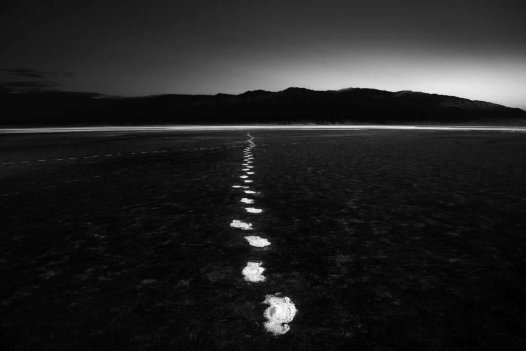 Photographer: Jack Curran