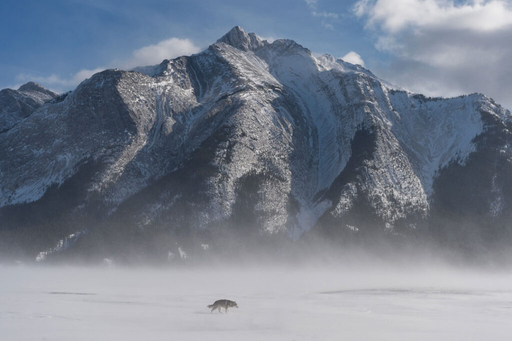 Фотограф: Viktoria Haack