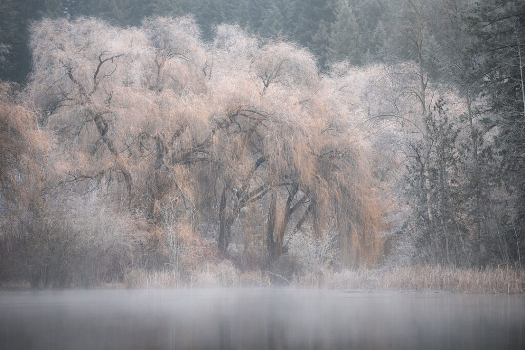 Фотограф: Viktoria Haack