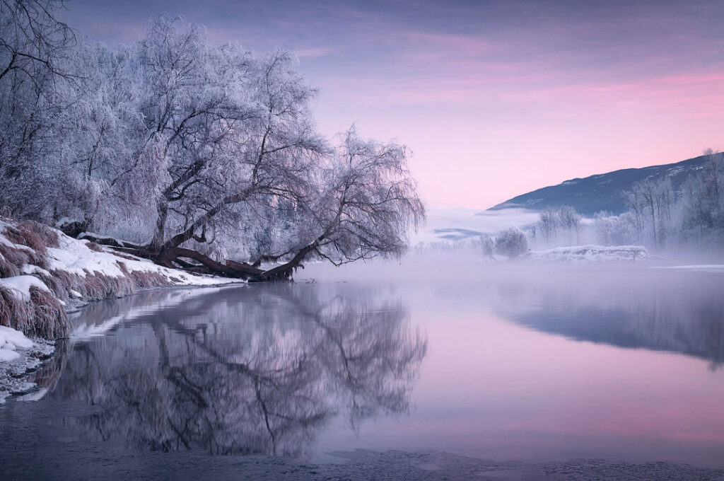 Фотограф: Viktoria Haack