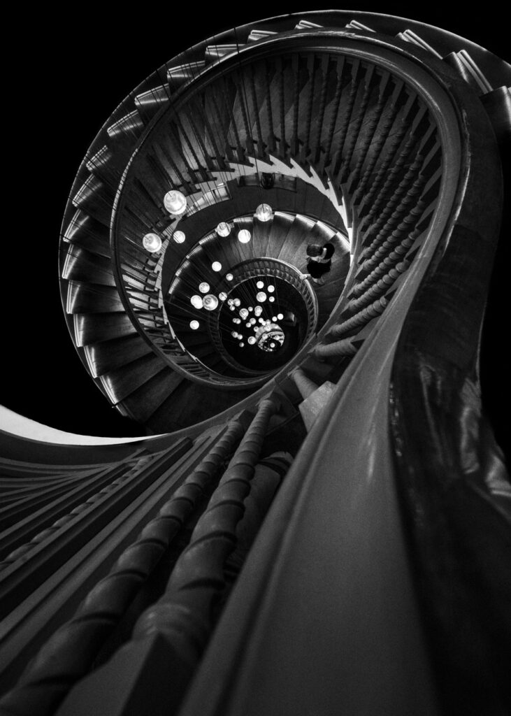 Photographer: Selaru Ovidiu