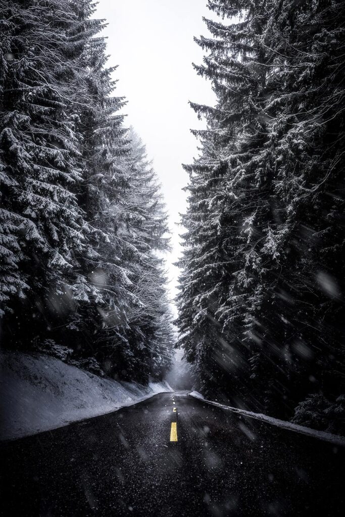 Photograph: Daniel Kainz