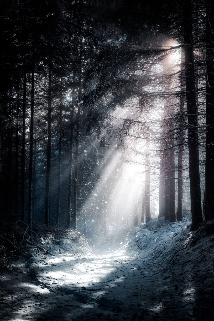 Фотограф: Daniel Kainz