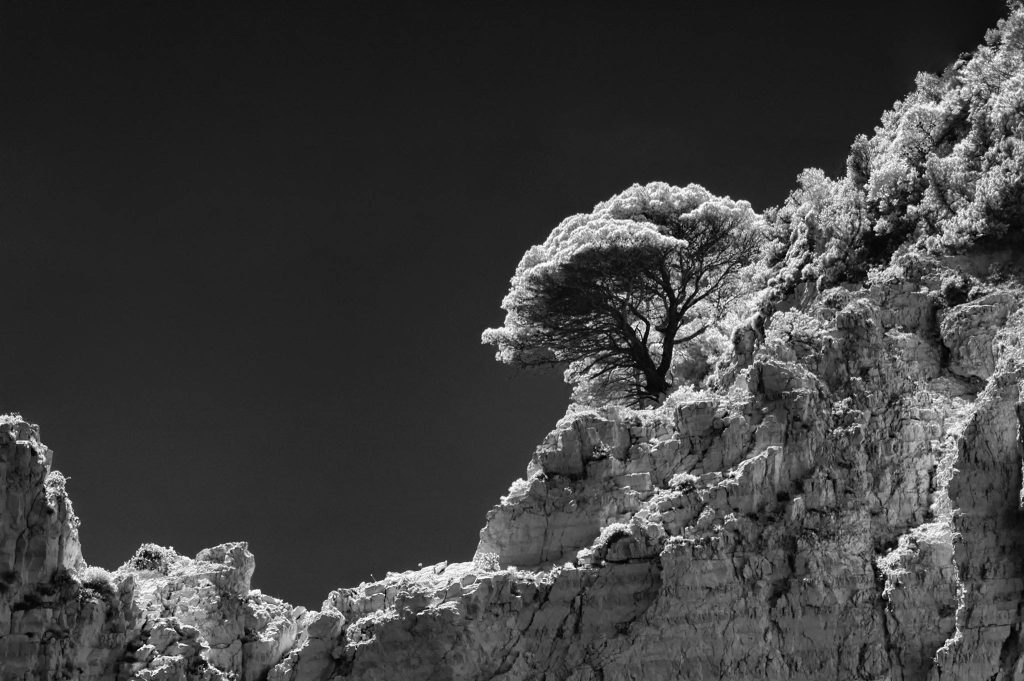 Фотограф: Tsvetomil Semkov