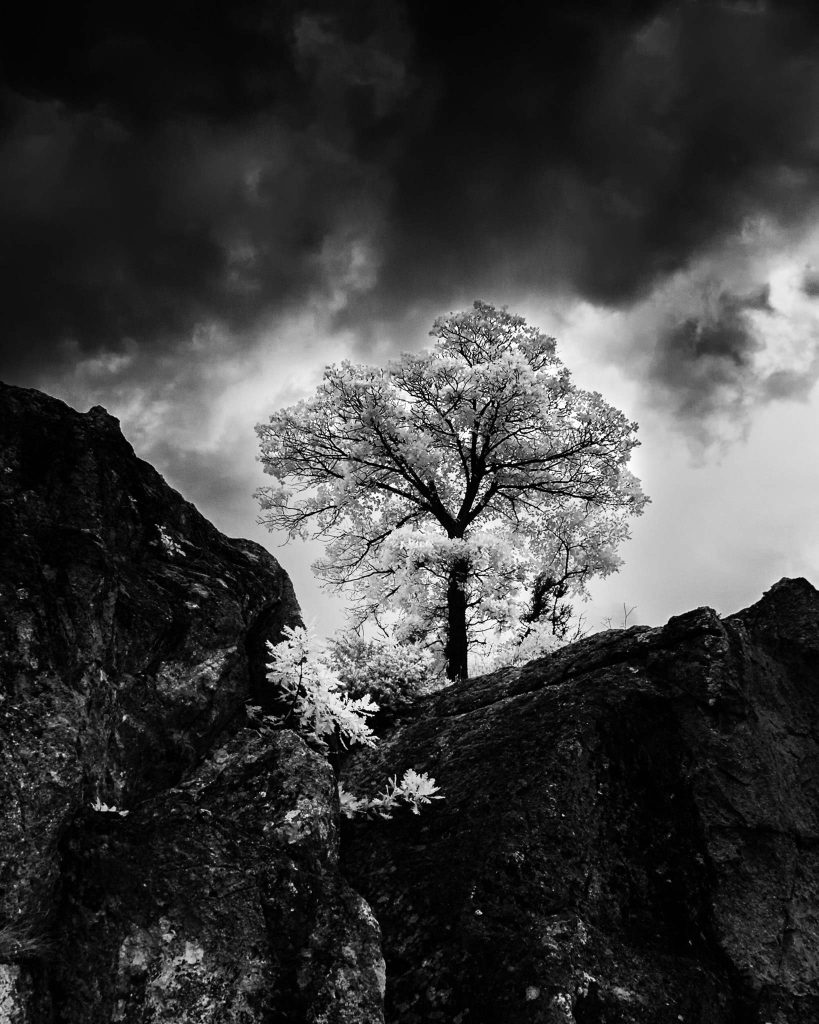 Фотограф: Tsvetomil Semkov
