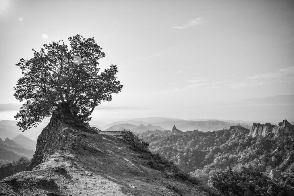 Фотограф: Светлана Делина