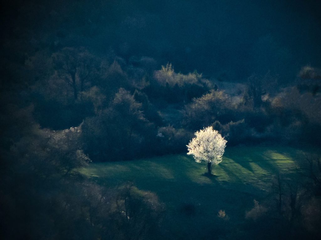 Фотограф: Светлана Делина