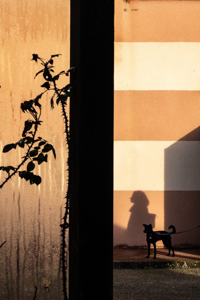 Фотограф: Maarten Rots