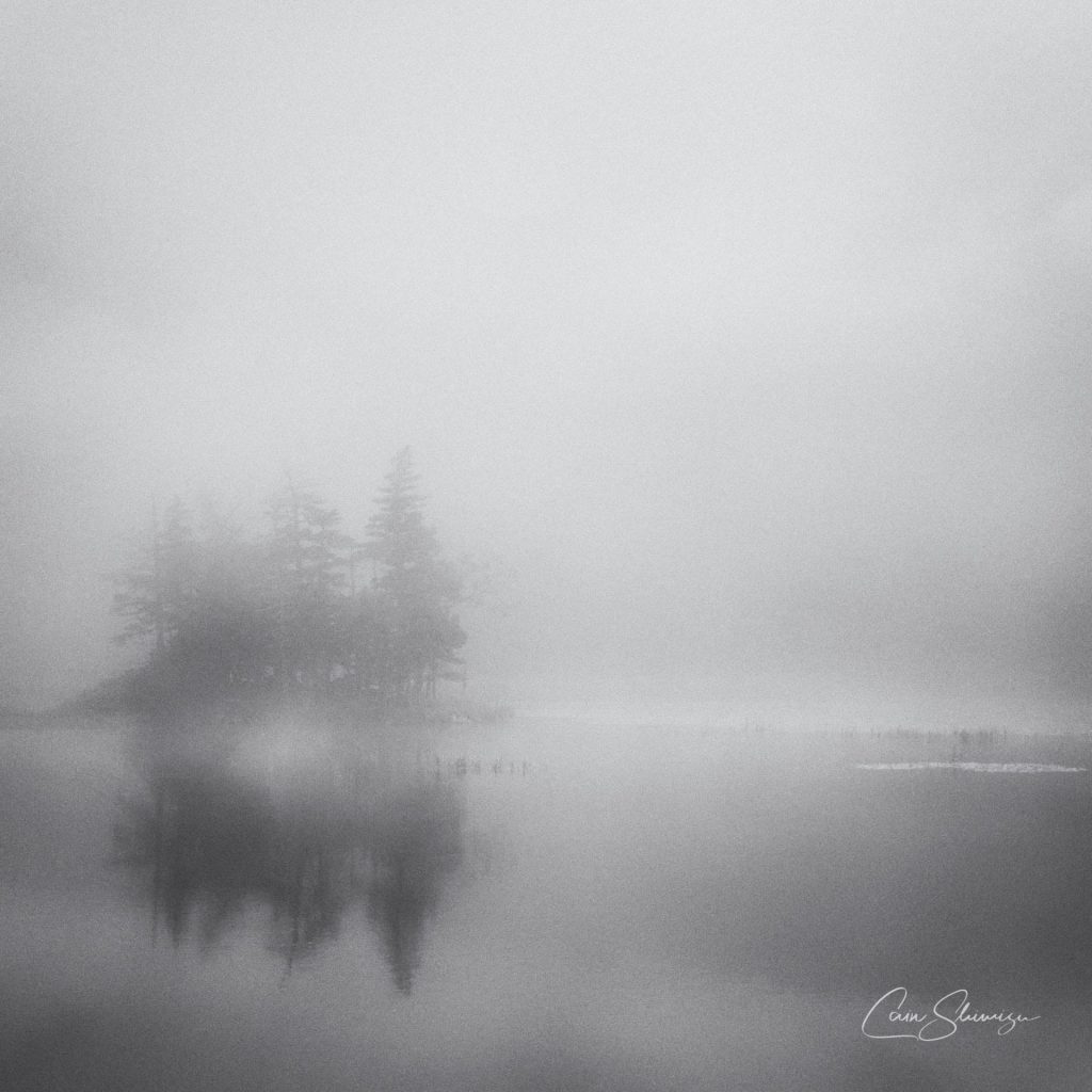 Фотограф: Cain Shimizu