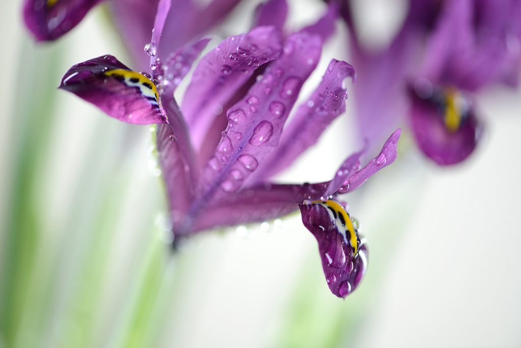 Фотограф: Люба Кемерова