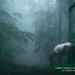 Пейзажна фотография - среща на работната група