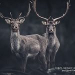 Пейзажна фотография - пътуване