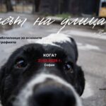 Пулсът на улицата - практическа работилница за основите на стрийт фотография
