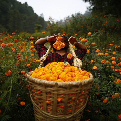 Photographer: Skanda Gautam