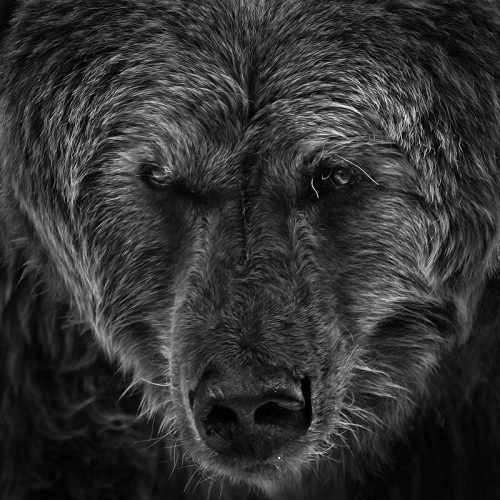 Фотограф: Wolf Ademeit