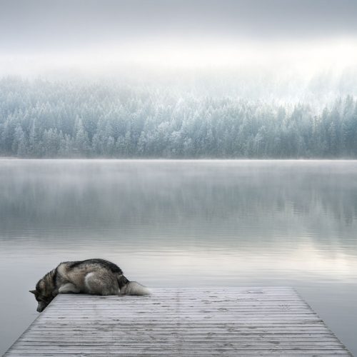 Photographer: Viktoria Haack