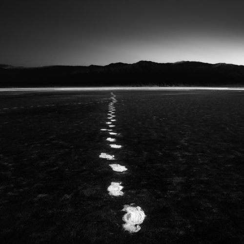 Photographer: Jack Curran