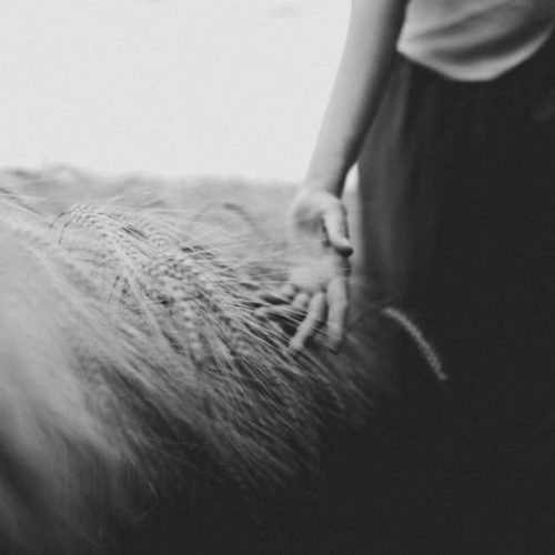 Photographer: Katrin Hristova
