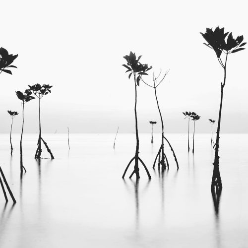 Photographer: Momo Ji