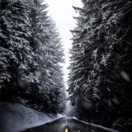 Photograph: Daniel Kainz