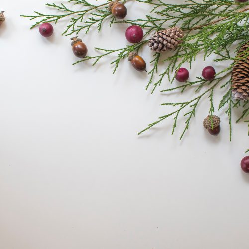 december_bn