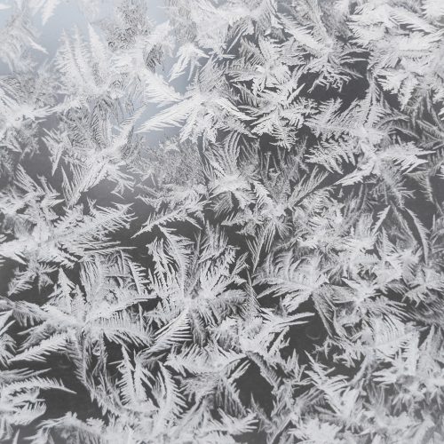 frozen