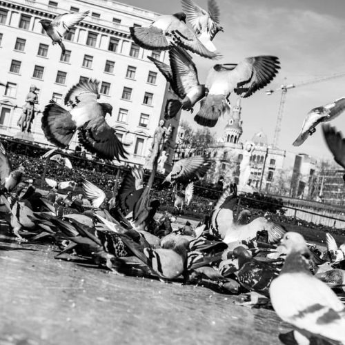 Photographer: Ivet Zdravkova